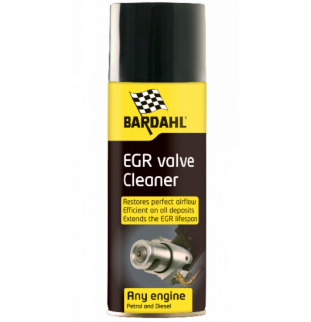 EGR VALVE CLEANER