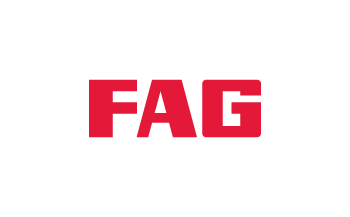 FAG Cuscinetti